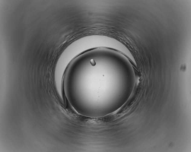 X0000090450568200707201316