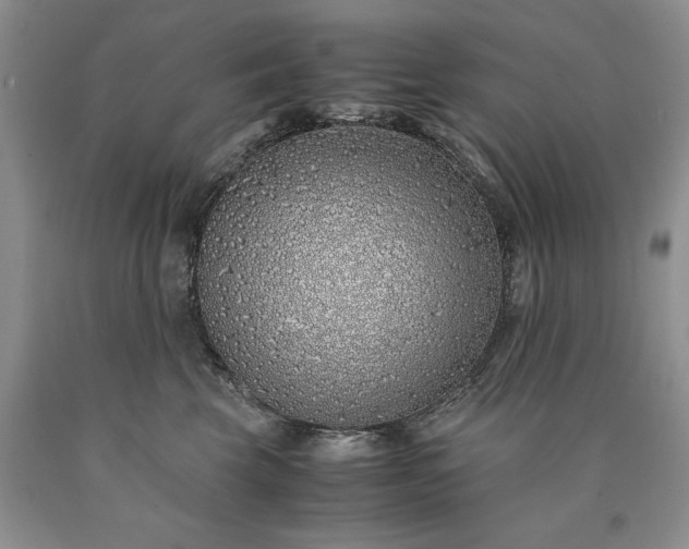 X0000090450569200707201316