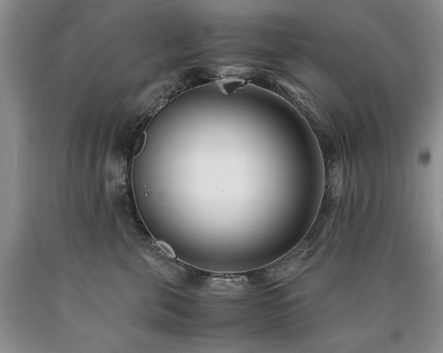 X0000090450571200707201316