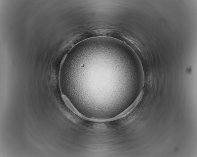 X0000090450572200707201316