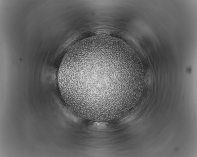 X0000090450573200707201316