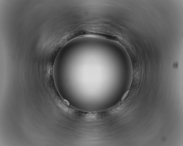 X0000090450574200707201316