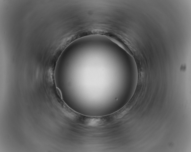 X0000090450575200707201316
