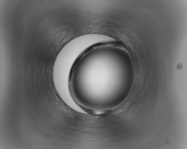 X0000090450576200707201316