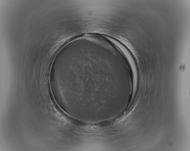 X0000090450577200707201316