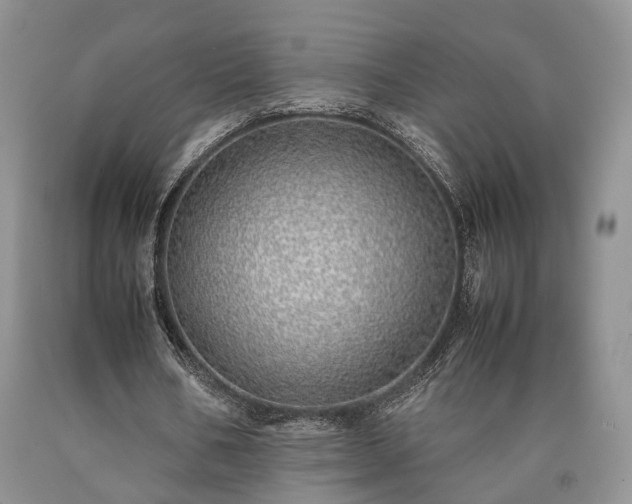 X0000090450578200707201316