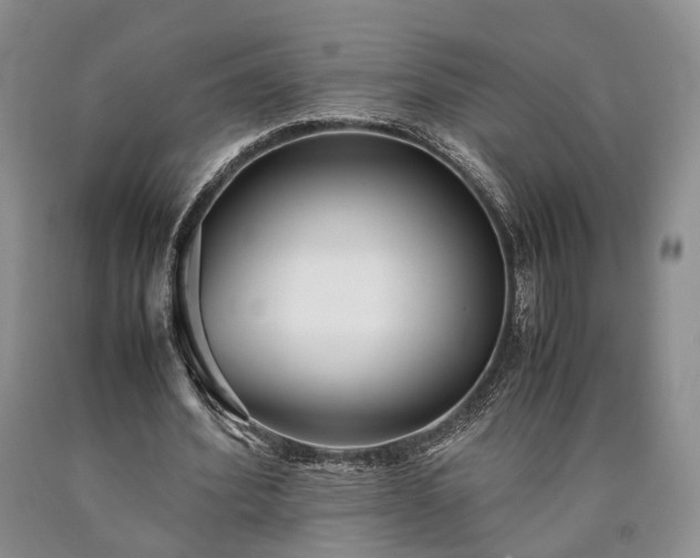 X0000090450580200707201316