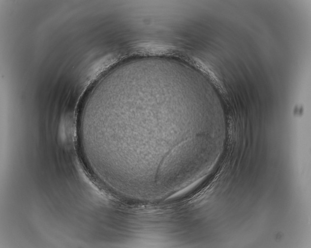 X0000090450582200707201315