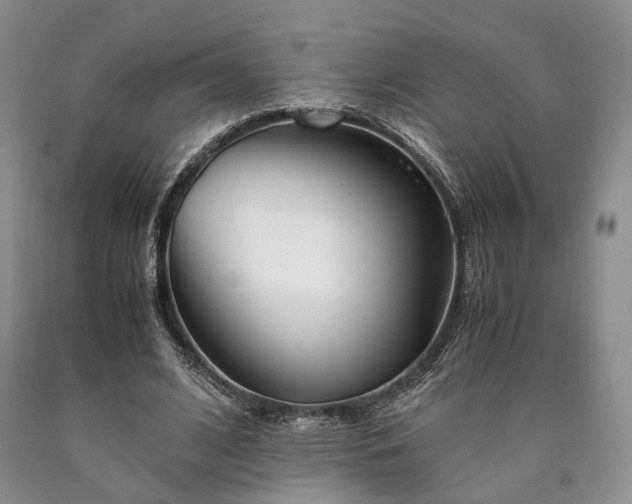 X0000090450584200707201315