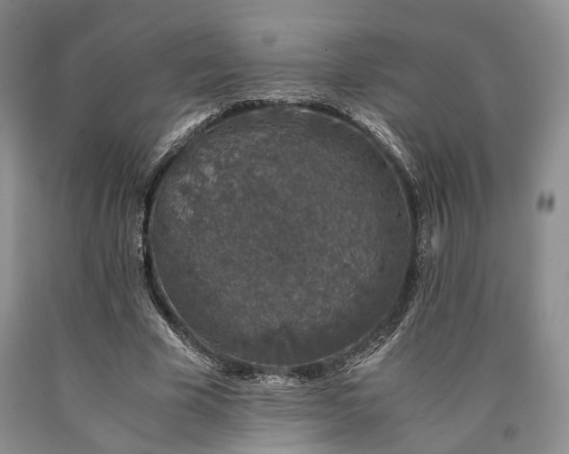 X0000090450585200707201315