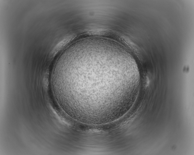 X0000090450586200707201315