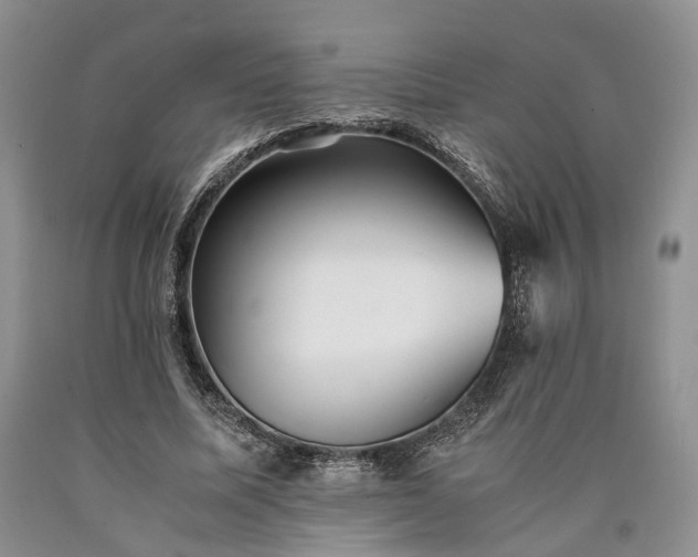 X0000090450587200707201315