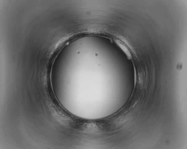 X0000090450588200707201315
