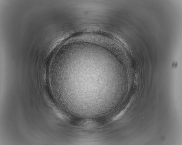 X0000090450589200707201315