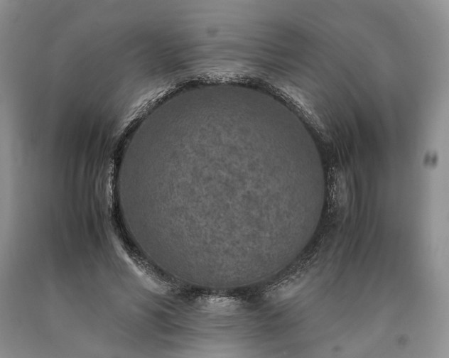 X0000090450590200707201315