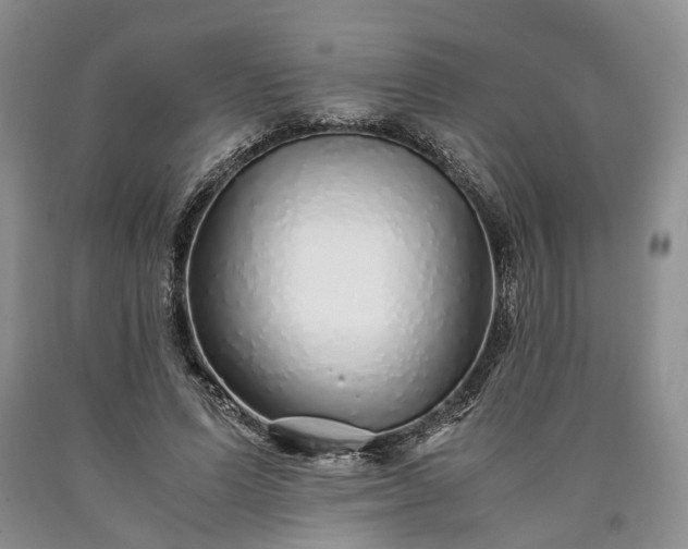 X0000090450591200707201315