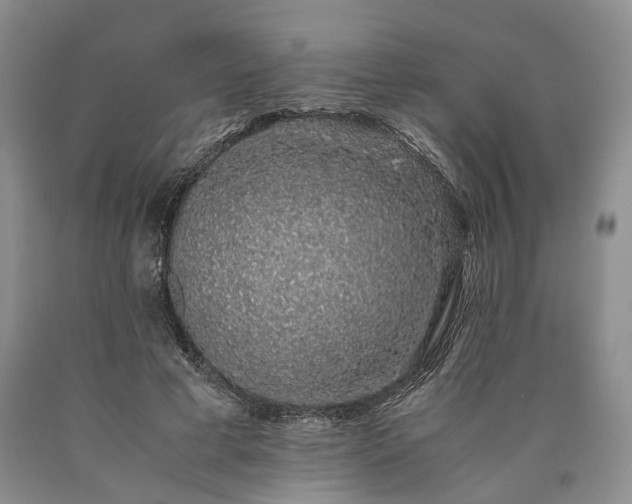 X0000090450593200707201315