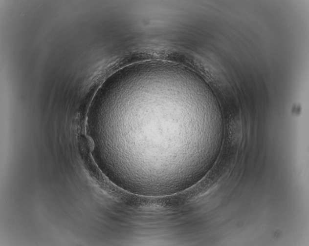 X0000090450594200707201315