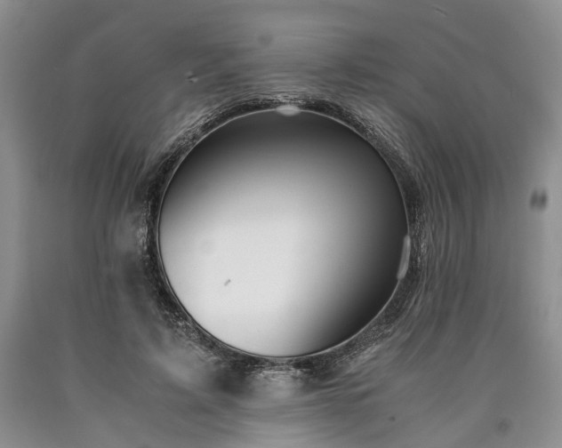 X0000090450595200707201315