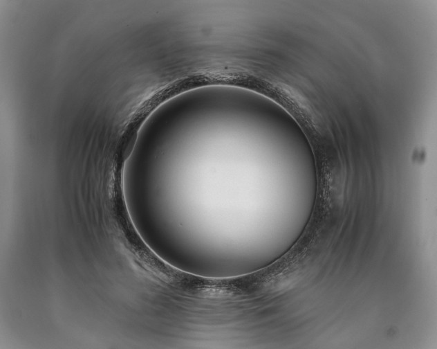 X0000090450596200707201315