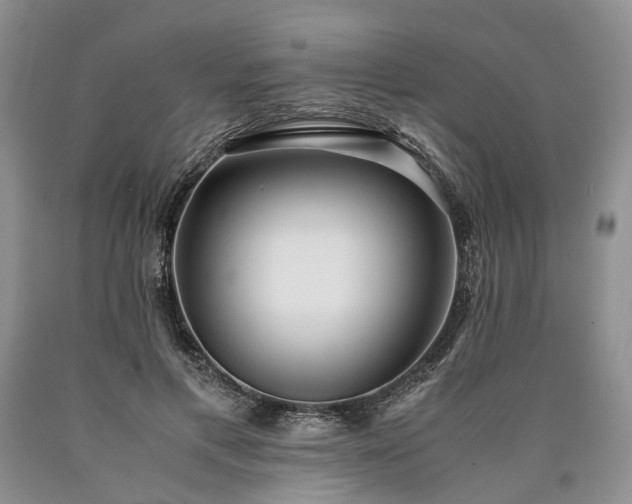X0000090450597200707201315