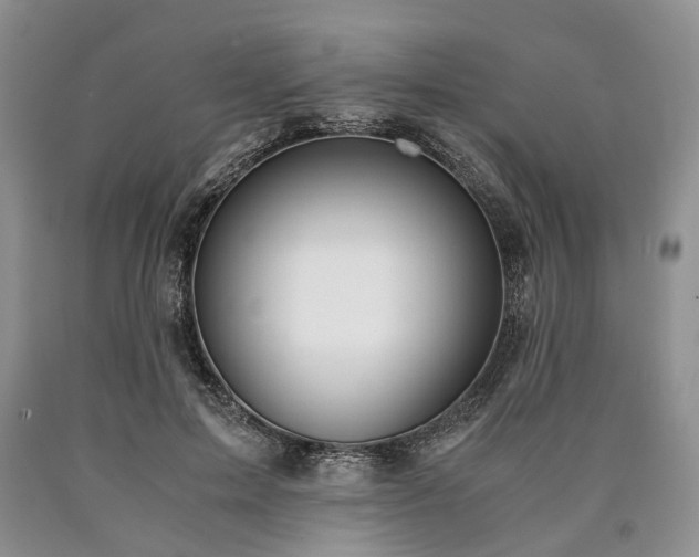 X0000090450599200707201315