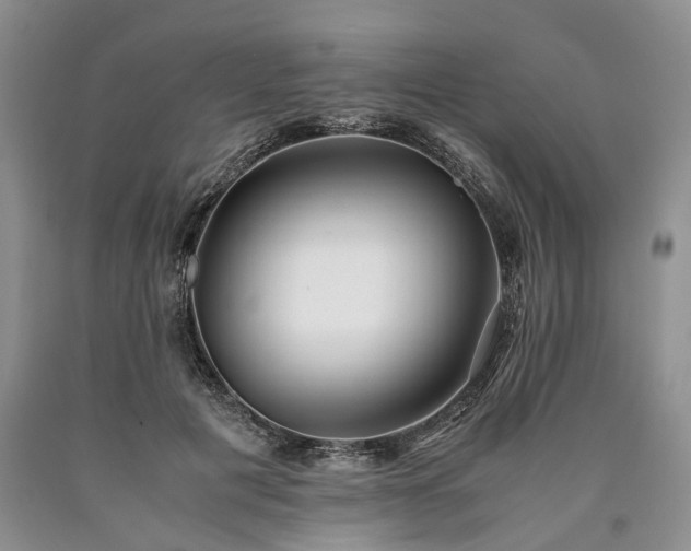 X0000090450601200707201315