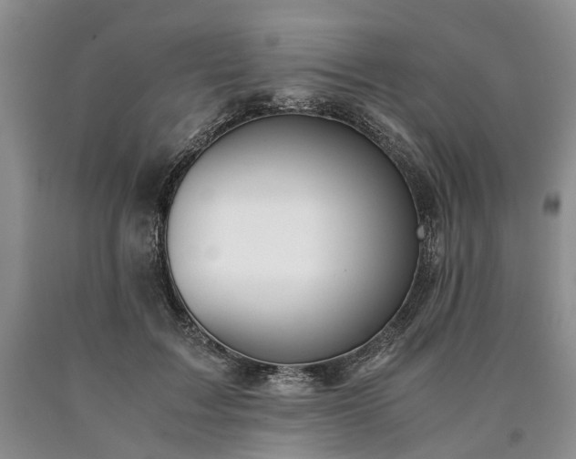 X0000090450603200707201315