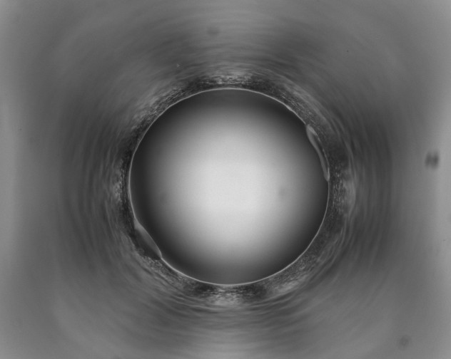 X0000090450604200707201315