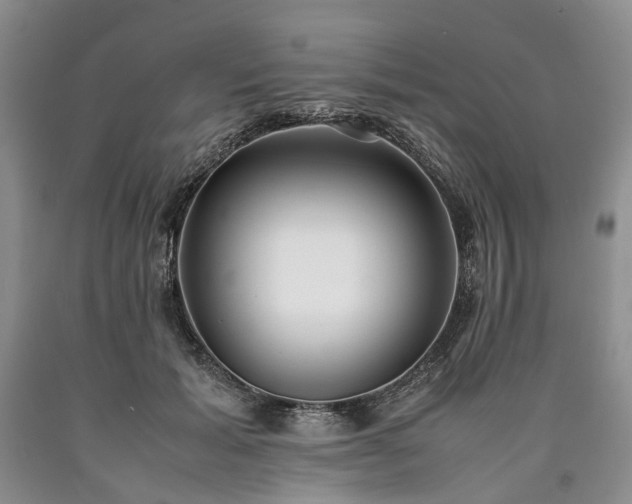 X0000090450605200707201315