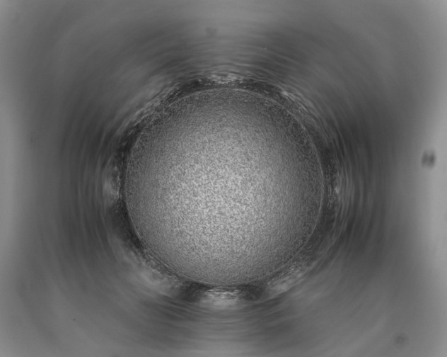 X0000090450606200707201315