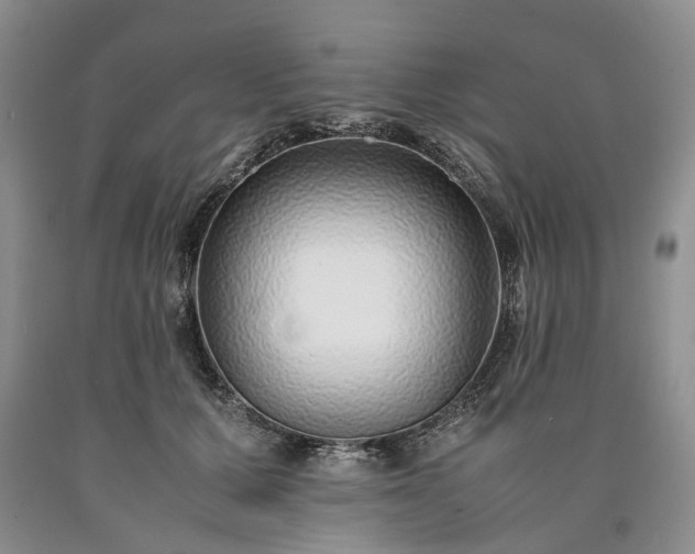 X0000090450607200707201315