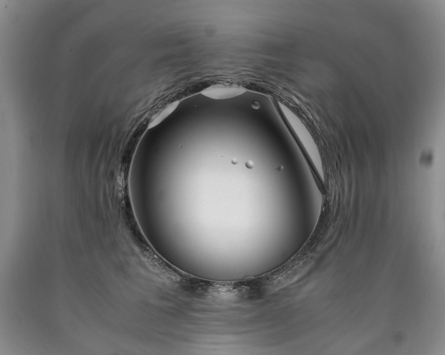 X0000090450613200707201315