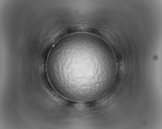 X0000090450615200707201315