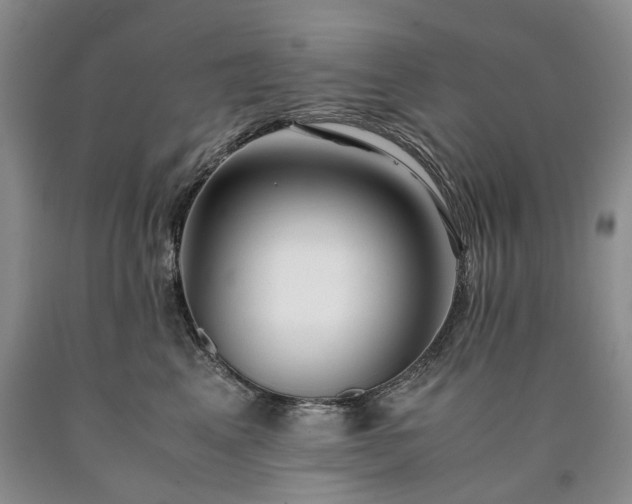 X0000090450617200707201315