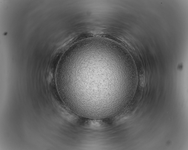 X0000090450618200707201315