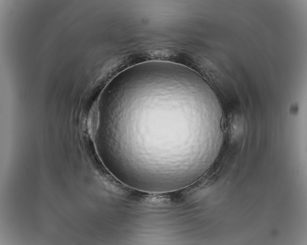 X0000090450619200707201315