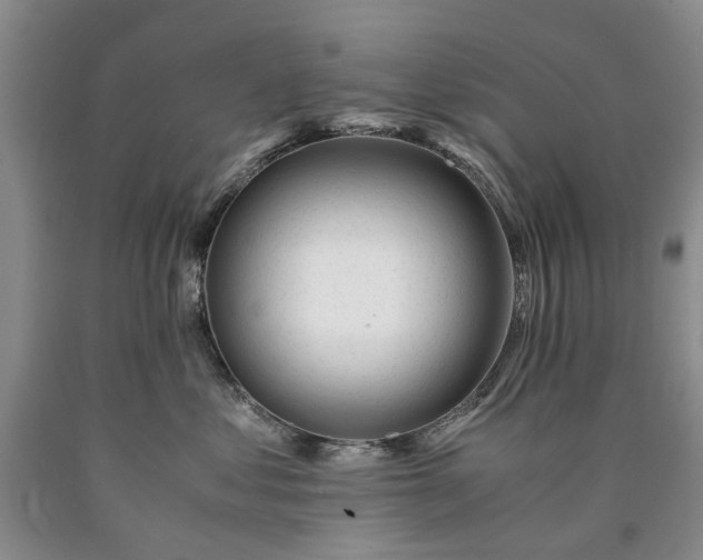 X0000090450621200707201315