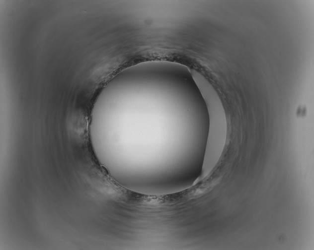 X0000090450624200707201315