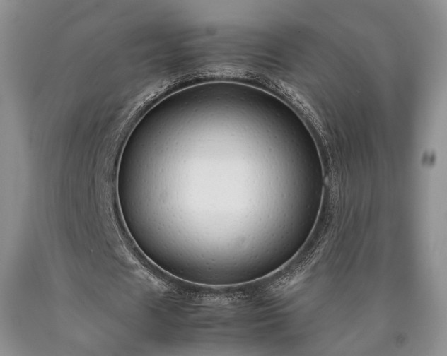 X0000090450625200707201314