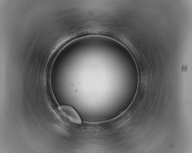 X0000090450626200707201314