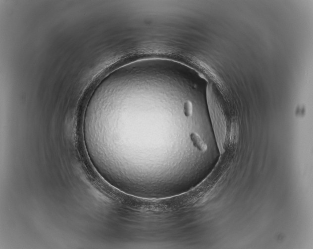 X0000090450627200707201314