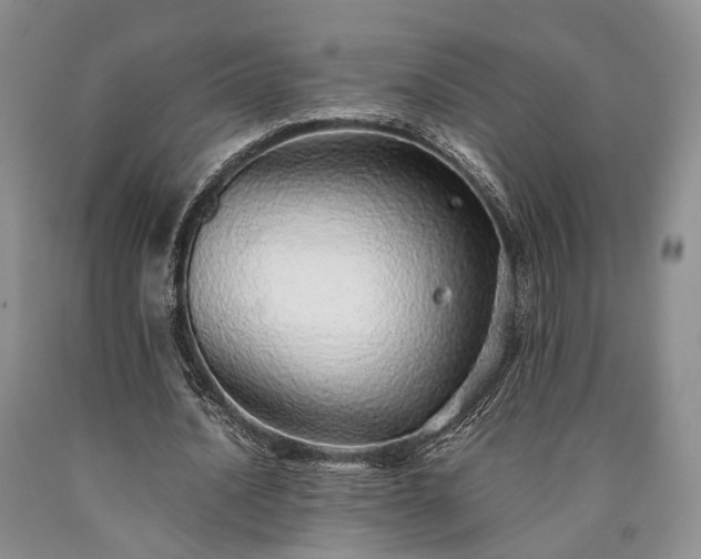 X0000090450628200707201314