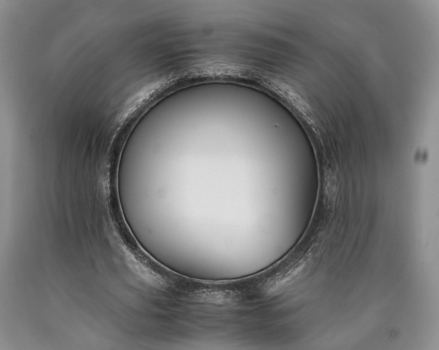 X0000090450629200707201314