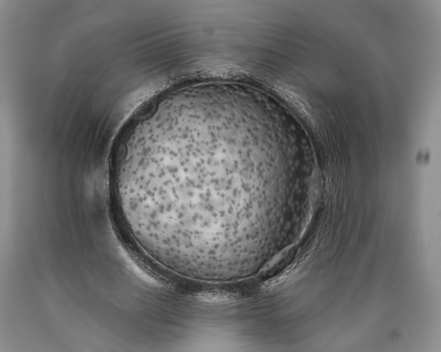 X0000090450630200707201314
