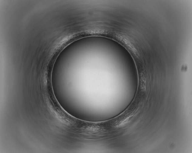 X0000090450631200707201314