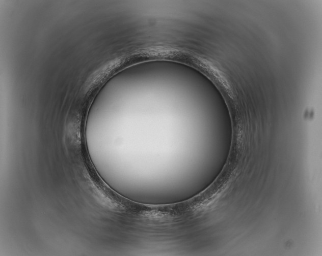 X0000090450633200707201314