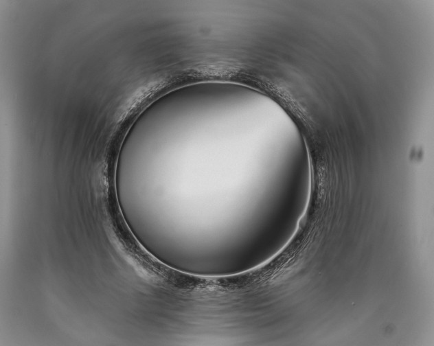 X0000090450634200707201314