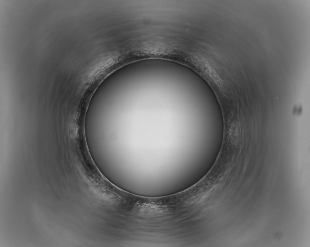 X0000090450635200707201314
