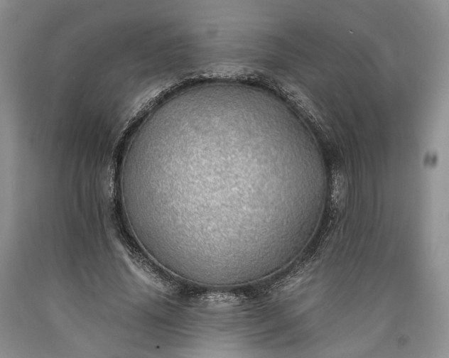 X0000090450636200707201314